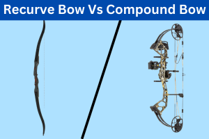 Recurve Bow Vs Compound Bow