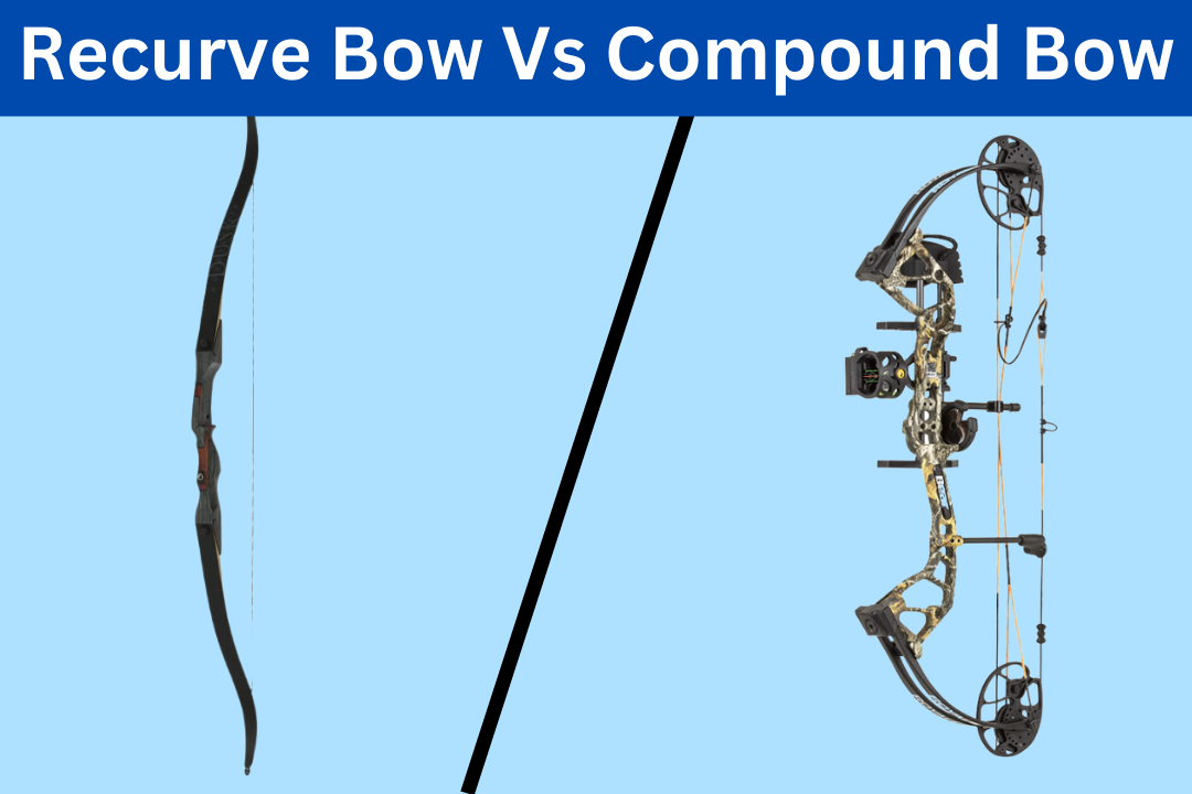 Recurve Bow Vs Compound Bow
