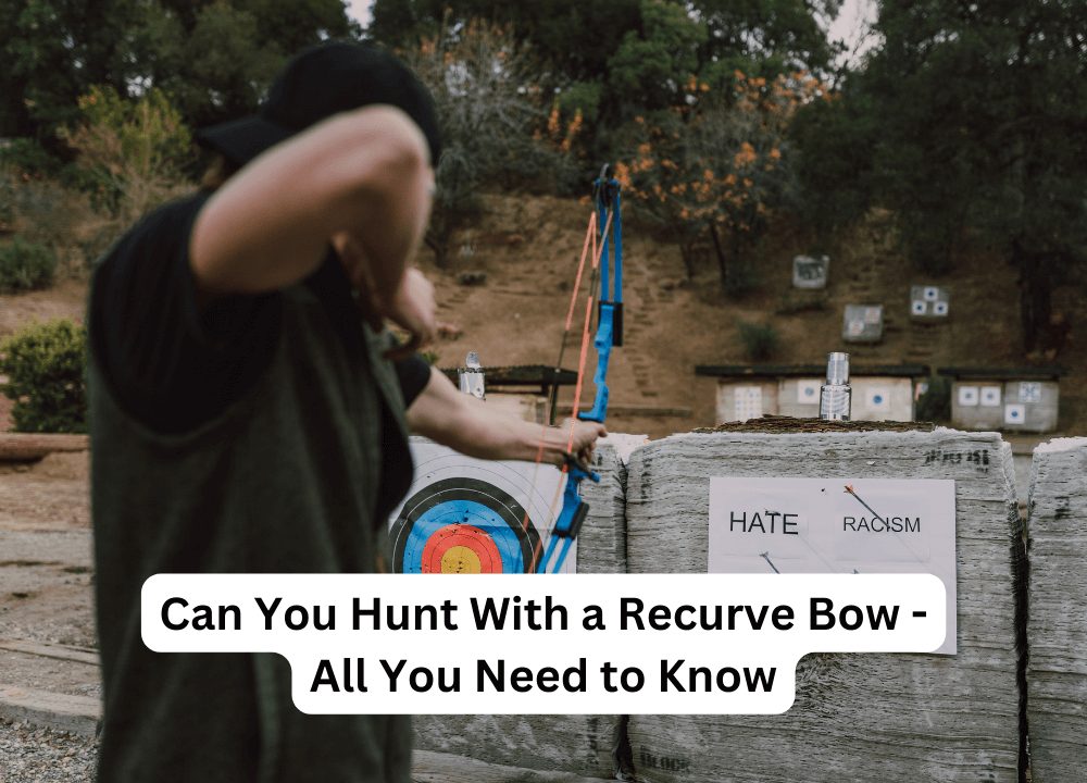 Can You Hunt With a Recurve Bow - All You Need to Know