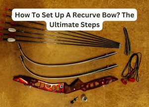 How To Set Up A Recurve Bow The Ultimate Steps